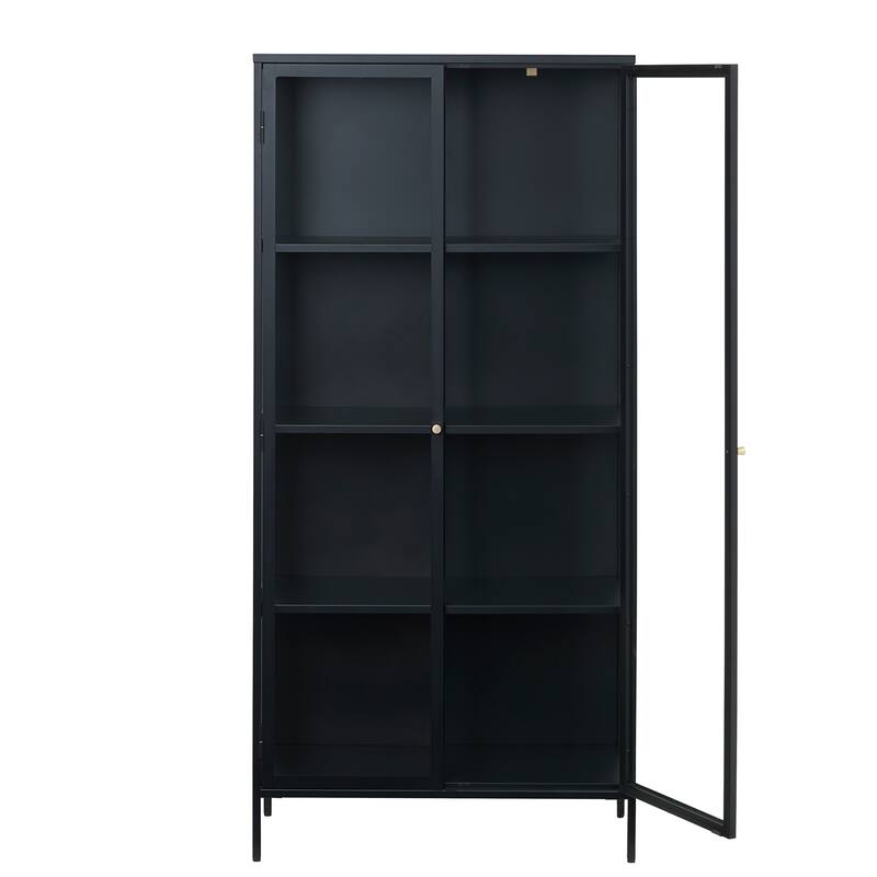 Rye Studio Cairyn Modern Glass and Metal Cabinet