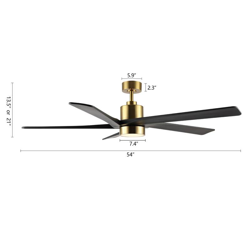 WINGBO 54 DC Ceiling Fan with Lights and Remote Control, 5 Reversible Carved Wood Blades