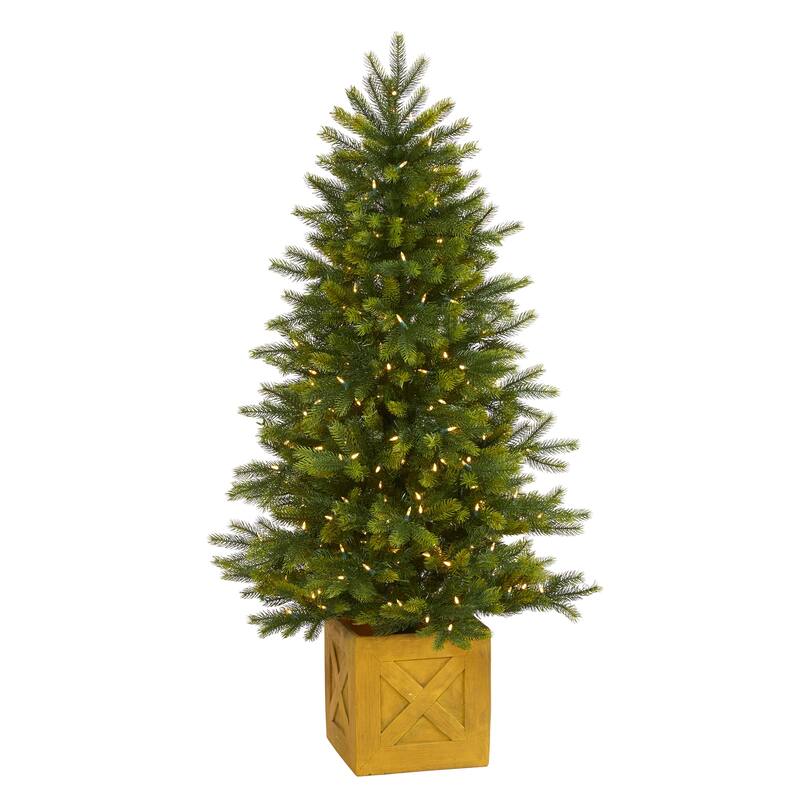 5' Manchester Fir Christmas Tree in Planter with 250 Clear LED - Green