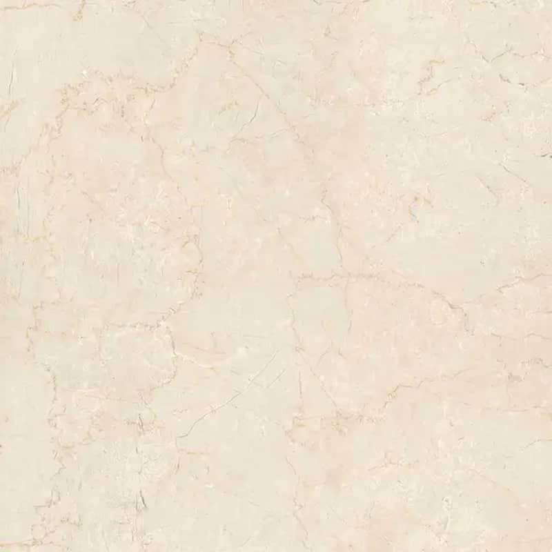 Regalia 24x24 in. Matte Color Body Porcelain Marble-look Vein Large Wall and Floor Tile (15.5 sq ft/case, 4-Pack)