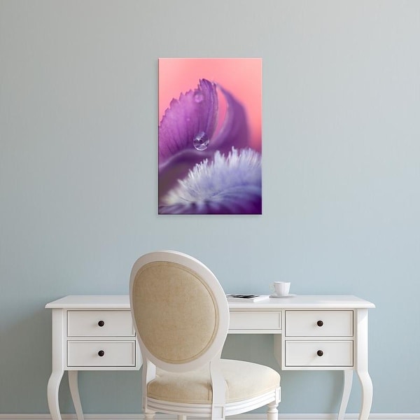 Easy Art Prints Jaynes Gallery's 'Iris Petal Close