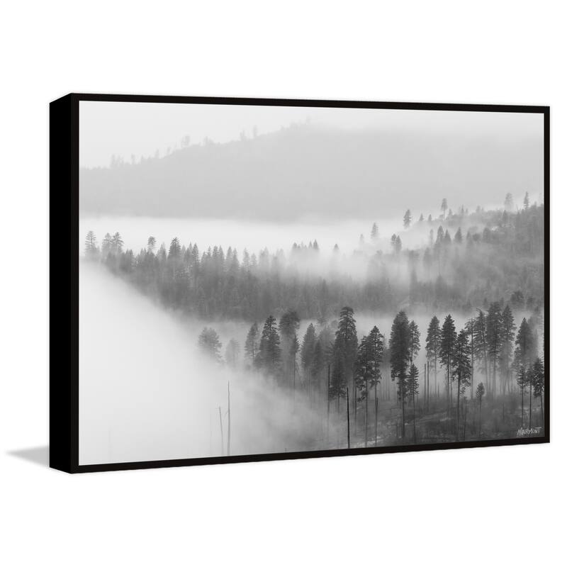 The Fog Is Coming Floater Framed Print on Canvas