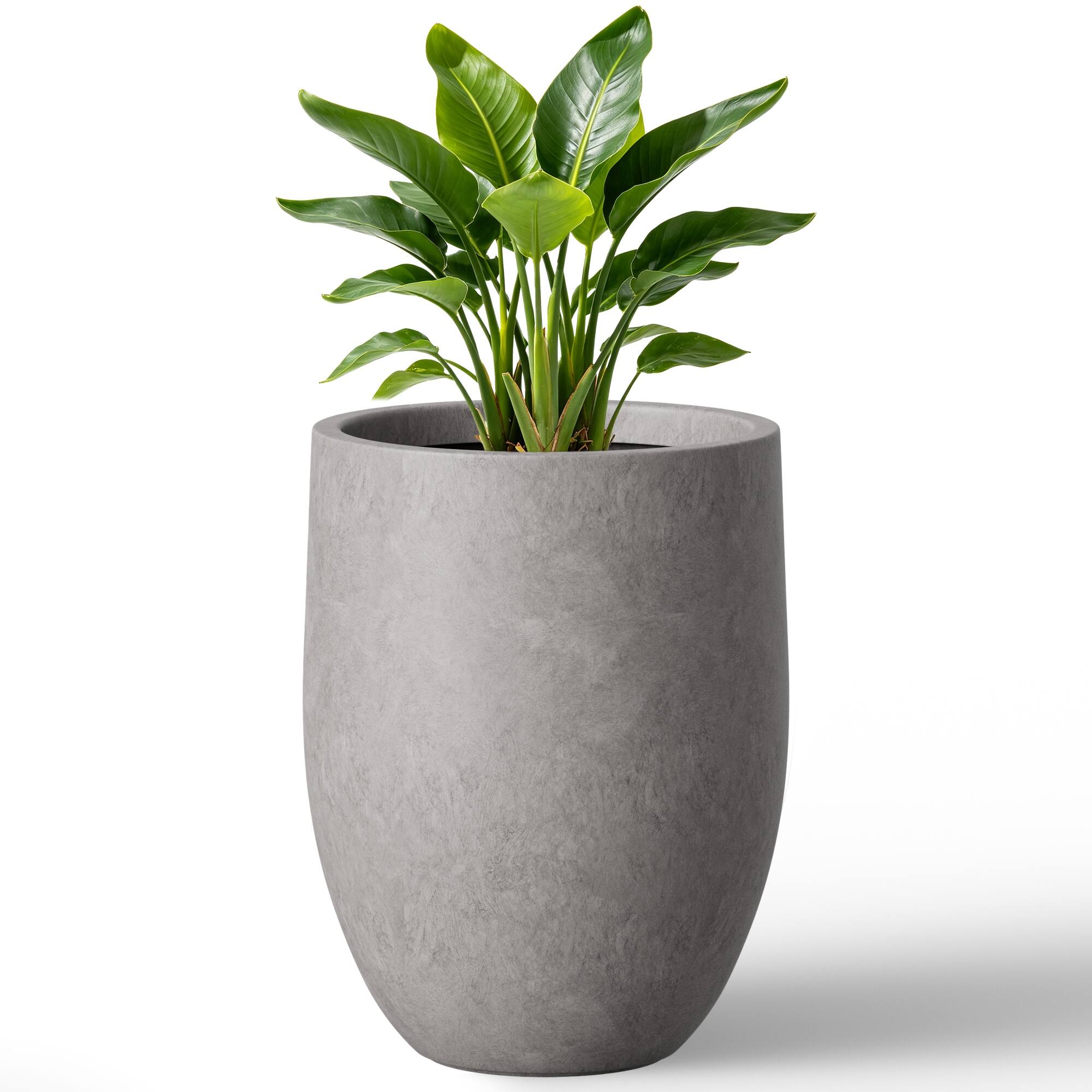 Option Misty Gray