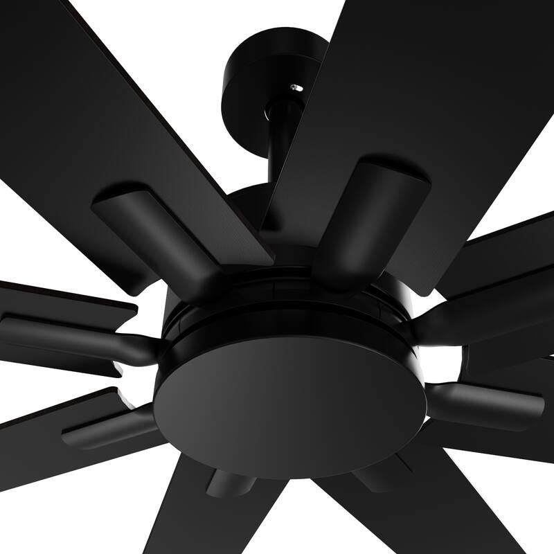 65"W Standard Ceiling Fan with Remote Control Metal Timing(Two Side)