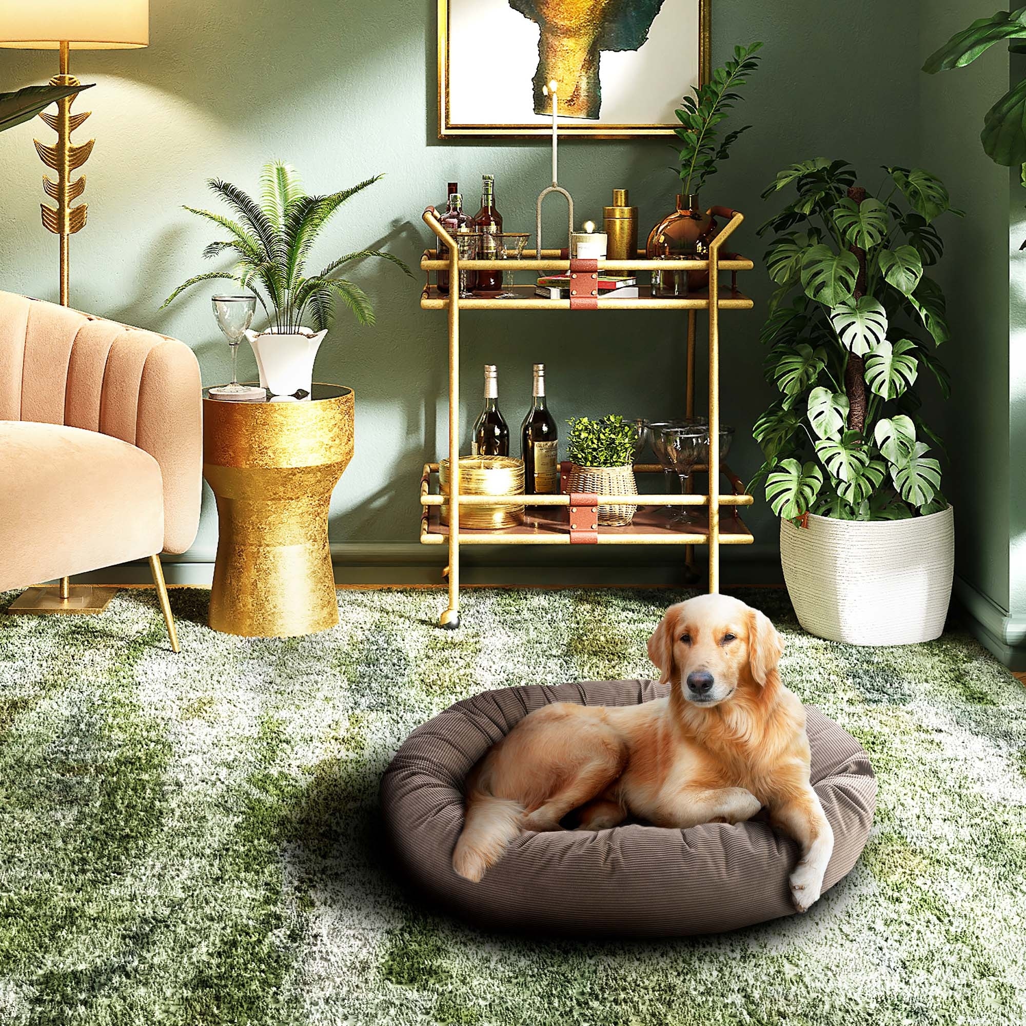 Max comfort sales dog beds