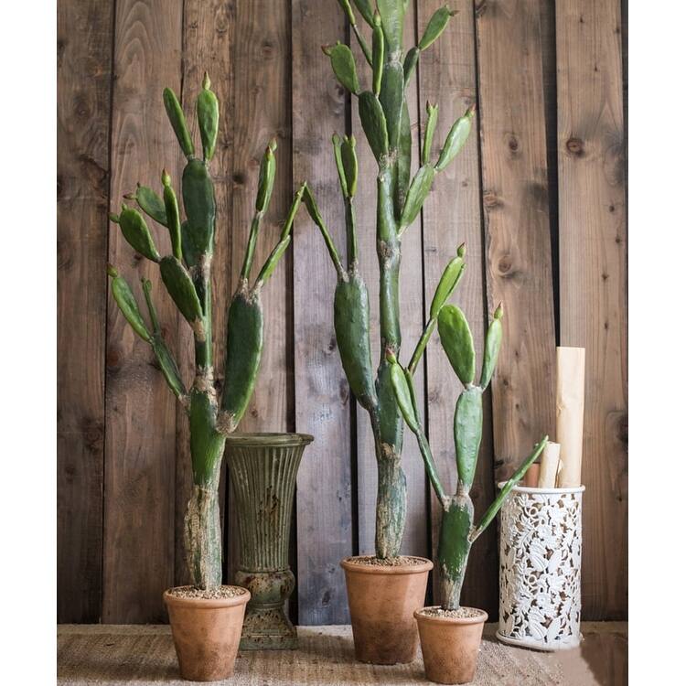 RusticReach Artificial Plant Morelos Cactus