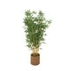 preview thumbnail 3 of 6, Green Faux Foliage Indoor Outdoor Artificial Tree with Realistic Leaves and Brown Seagrass Pot