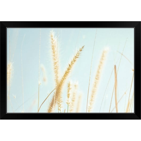"Cattail grass in sunshine." Black Framed Print