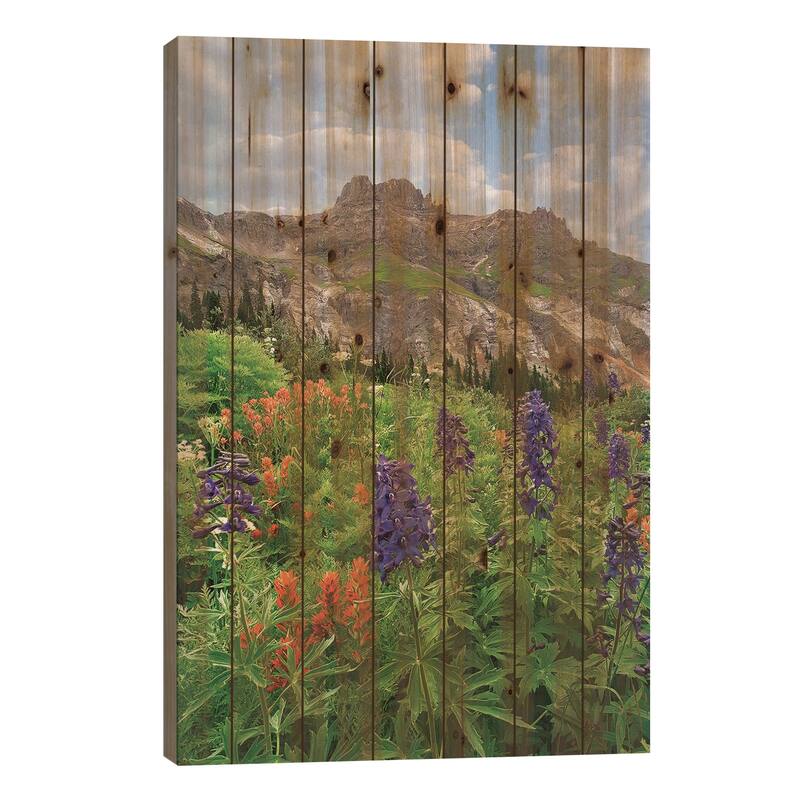 Larkspur And Paintbrush, Yankee Boy Basin, San Juan Mts, Colorado Print On Wood by Tim Fitzharris - Multi-Color - 26x18x1.5