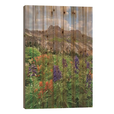 Larkspur And Paintbrush, Yankee Boy Basin, San Juan Mts, Colorado Print On Wood by Tim Fitzharris - Multi-Color