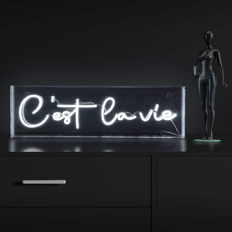 C'est La Vie 20" X 6" Contemporary Glam Acrylic Box USB Operated LED Neon Light, White by JONATHAN Y - 20" X 6"