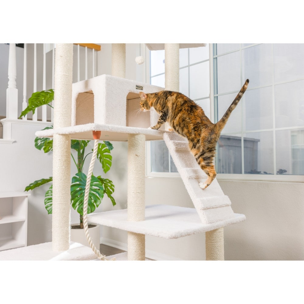 Jackson galaxy cat tree store