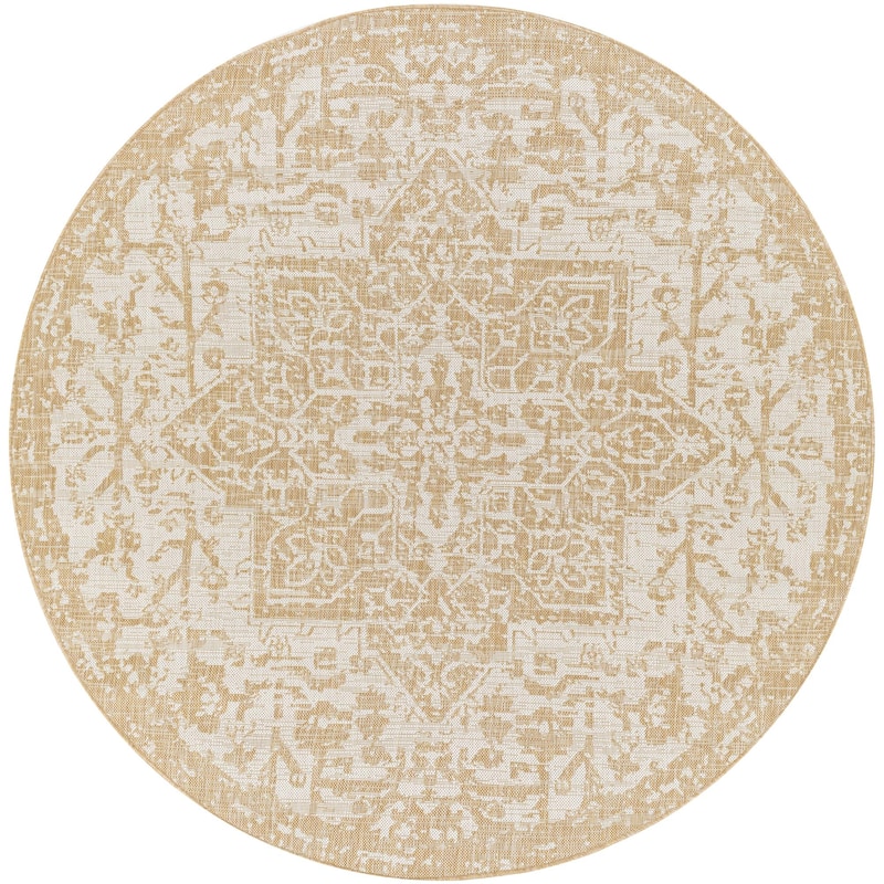 Livabliss Eagean Updated Traditional Medallion Indoor / OutdoorArea Rug