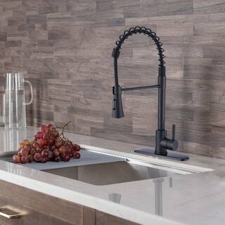 Proox 2-Function Commercial Pulldown Kitchen Sink Faucet