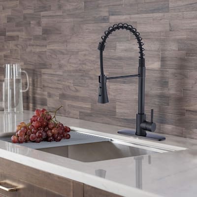 Proox 2-Function Commercial Pulldown Kitchen Sink Faucet