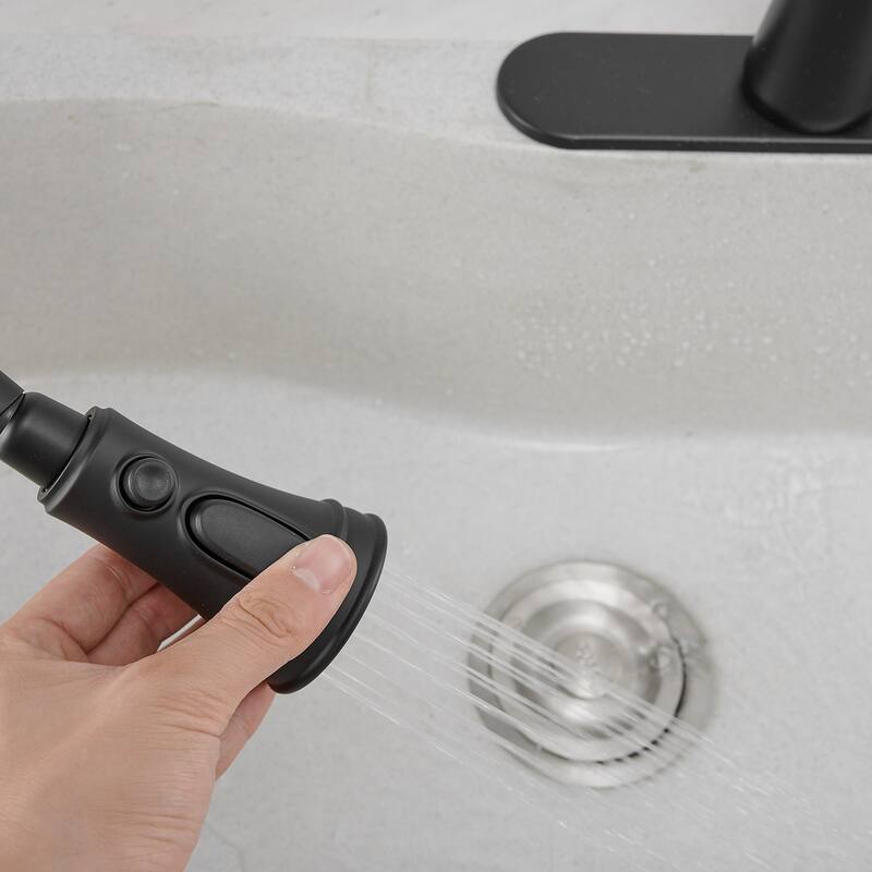 WIZ Single Handle Pull-Down Sprayer Kitchen Faucet Bundle Glass Rinser