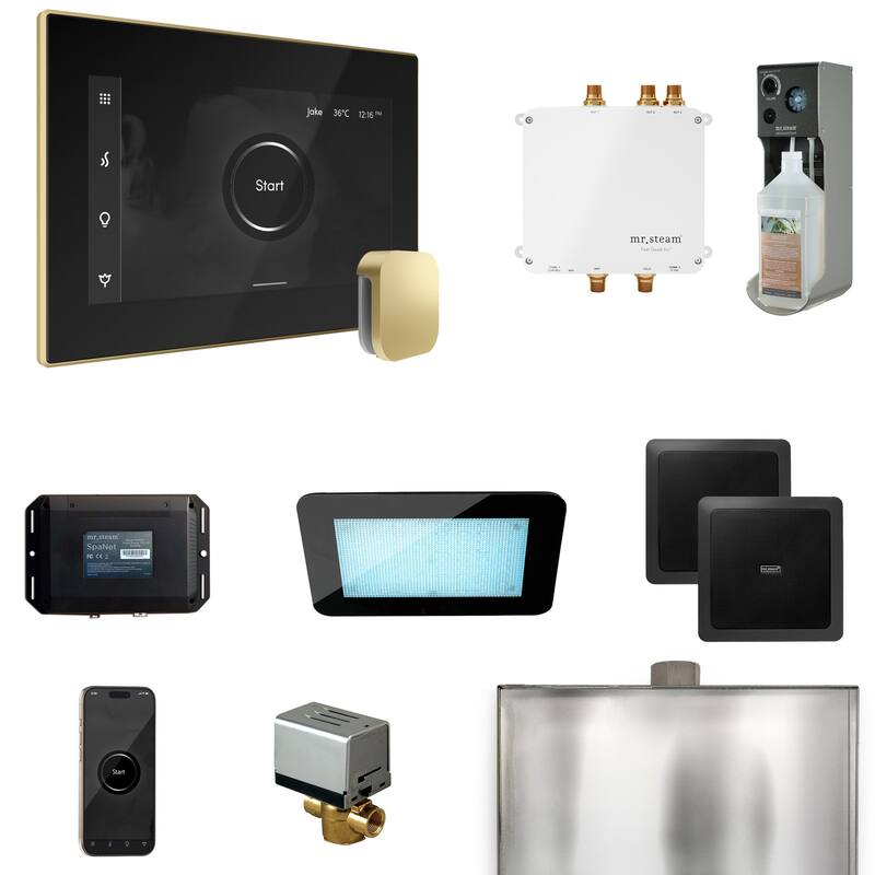 Mr Steam BLS1 Bliss Package Steam Shower Control Package with Isteamx - Black / Satin Brass