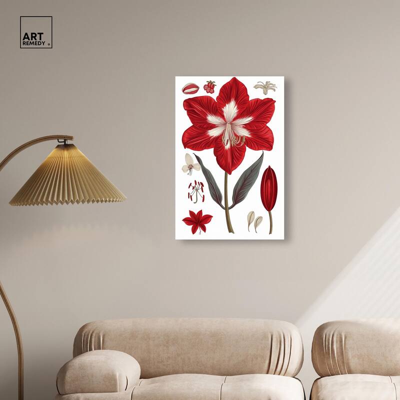 Amaryllis Anatomy Canvas by Art Remedy, Gallery Wrapped