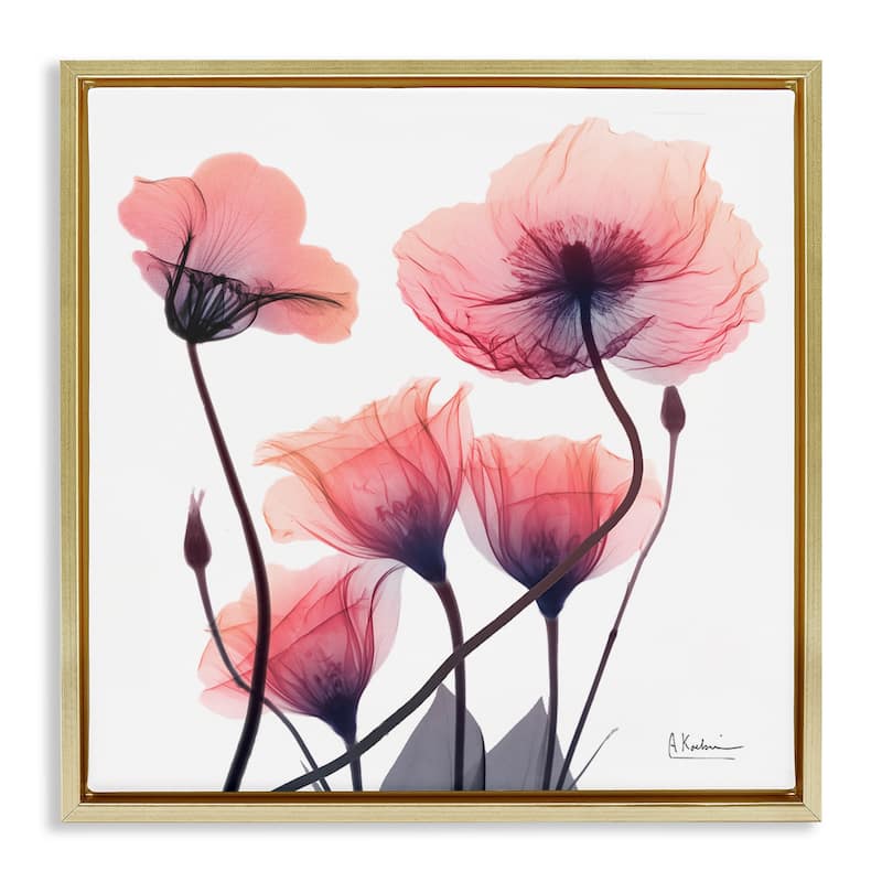 Stupell Elegant Modern Poppy Buds Framed Floater Canvas Wall Art Design By Albert Koetsier - 25 x 25 - Gold