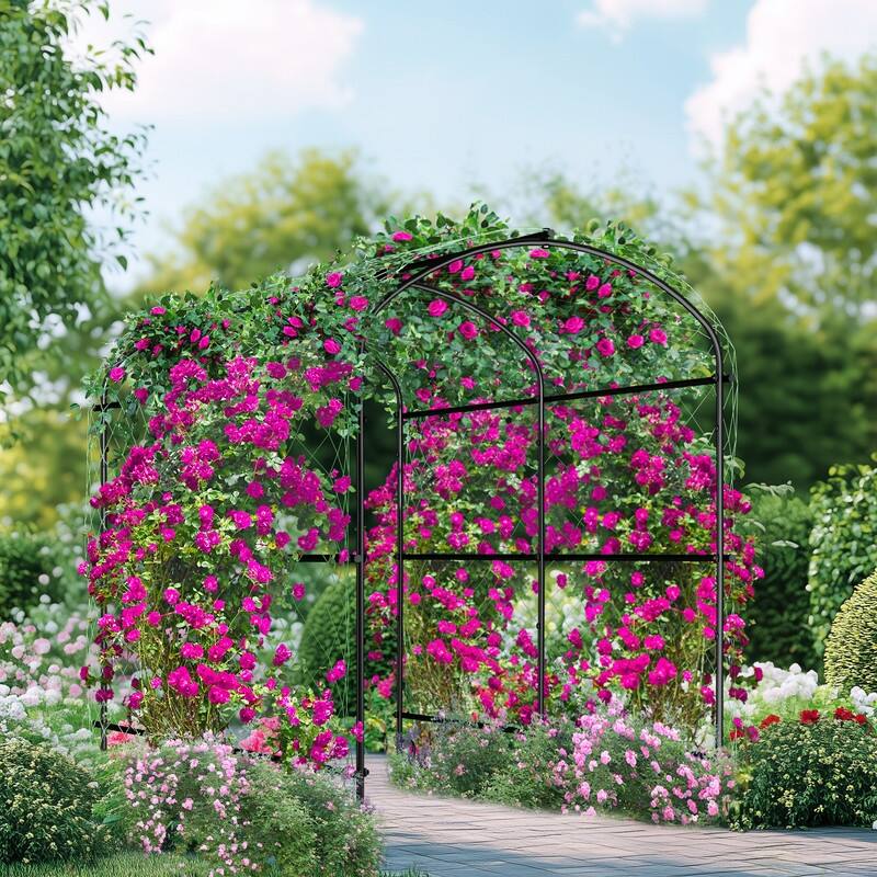 Vegetable Fruit Flower Trellis for Raised Bed Frame Garden Arch Metal Plant Support for Climbing Plants Cucumber Outdoor
