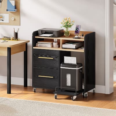 Moasis 2 Drawer Rolling File Cabinet with Printer Stand Cart for Home Office