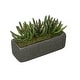 preview thumbnail 4 of 4, Faux Senecio Garden in Black Sandy-Texture Ceramic Vase Green
