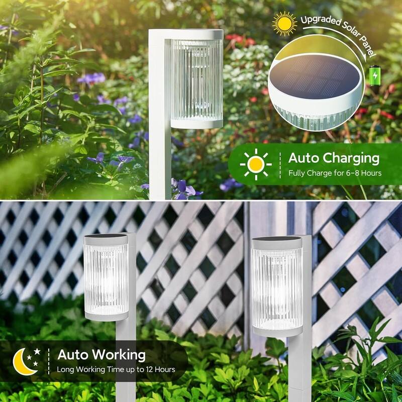 6-Pack Solar Garden Pathway Lights – Bright & Waterproof