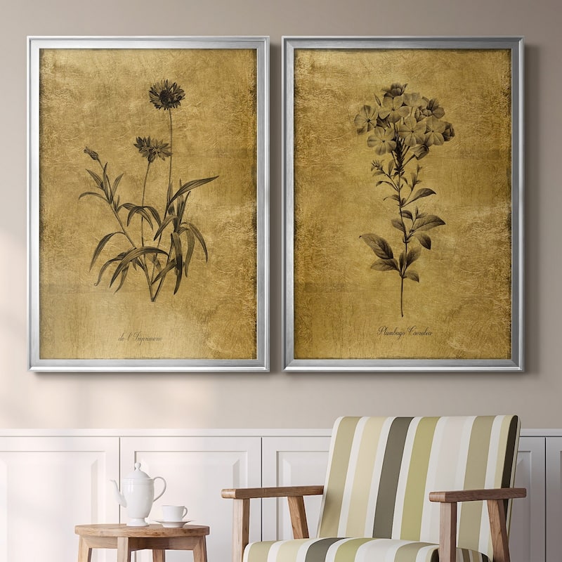 Gold Sketch Botanical I Premium Framed Print - Ready to Hang - Multi-Color