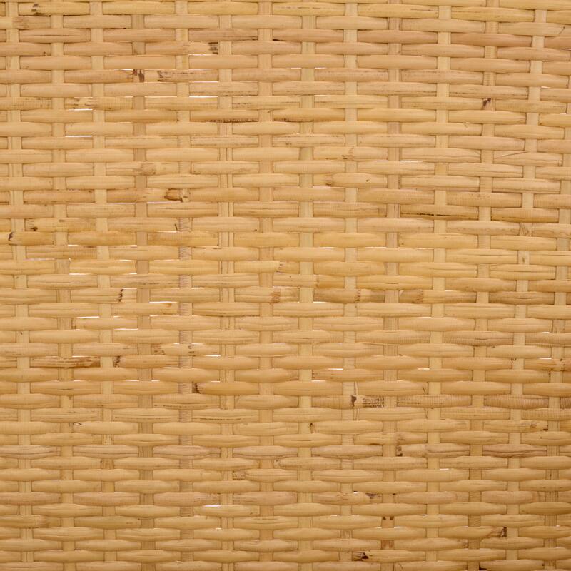 SAFAVIEH Home Alyona Rattan Arm Chair - 26"W x 24"D x 31"H