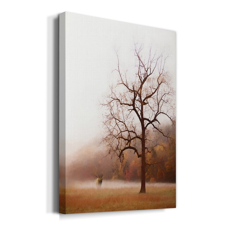 Photography Study Elk in the Mist Premium Gallery Wrapped Canvas - Ready to Hang