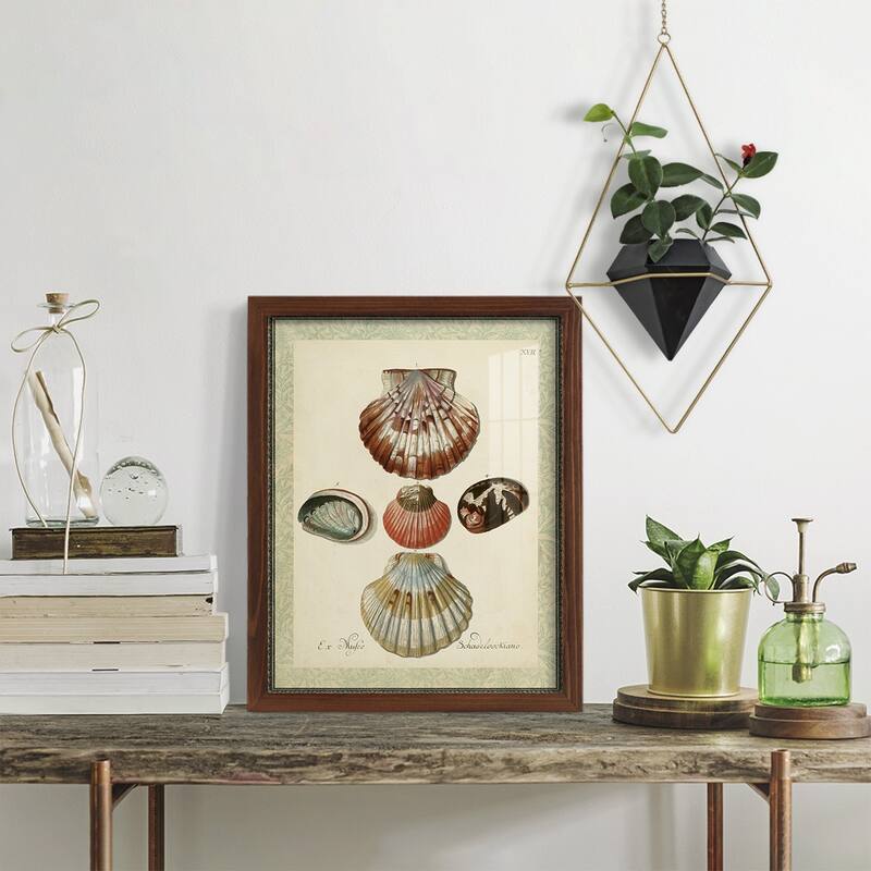 Bookplate Shells III -Framed Print w/glass-Cherry Red