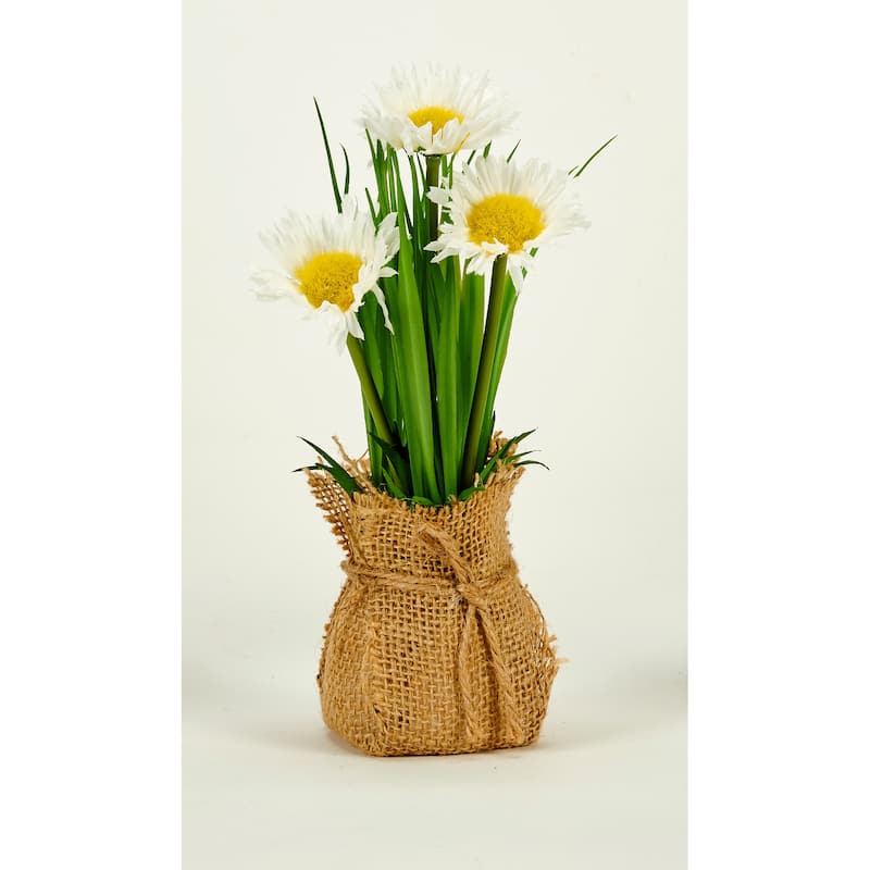 8" Daisy in Burlap Sack, Set of 2 - Green - 8