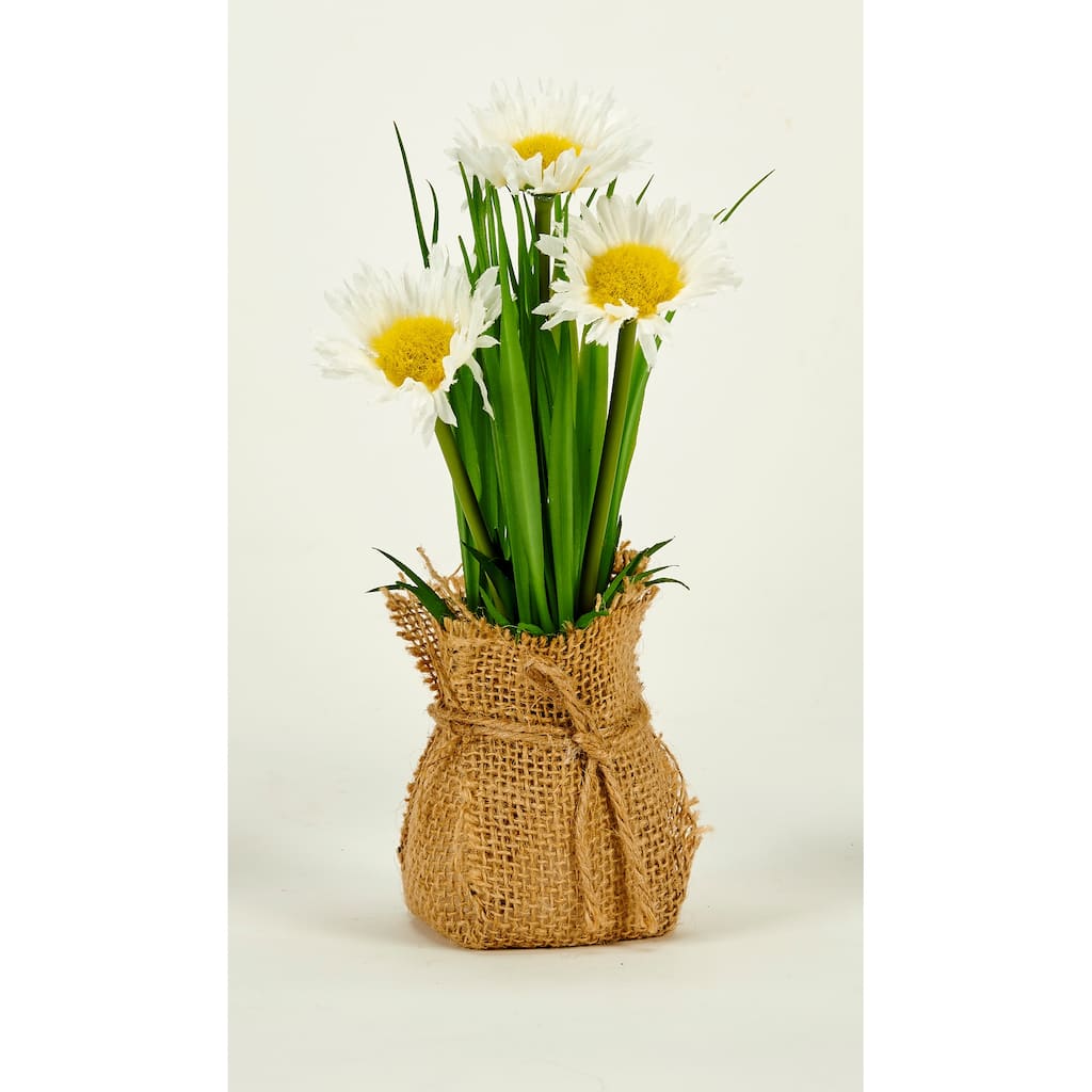 8" Daisy in Burlap Sack, Set of 2 - Green - 8
