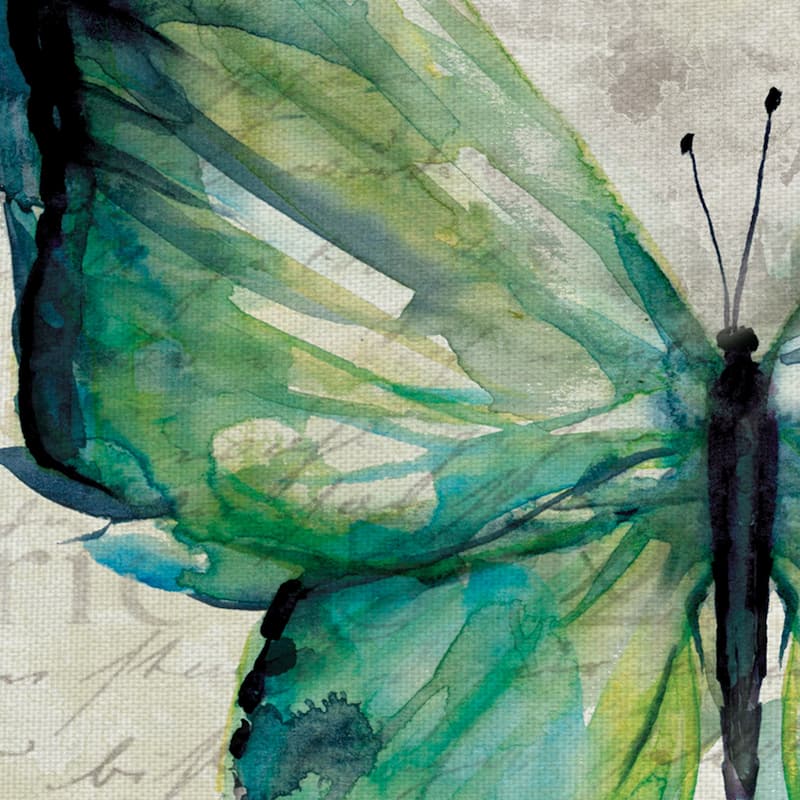 Butterfly Sketch I, II, III, IV by Carol Robinson Canvas Art Prints