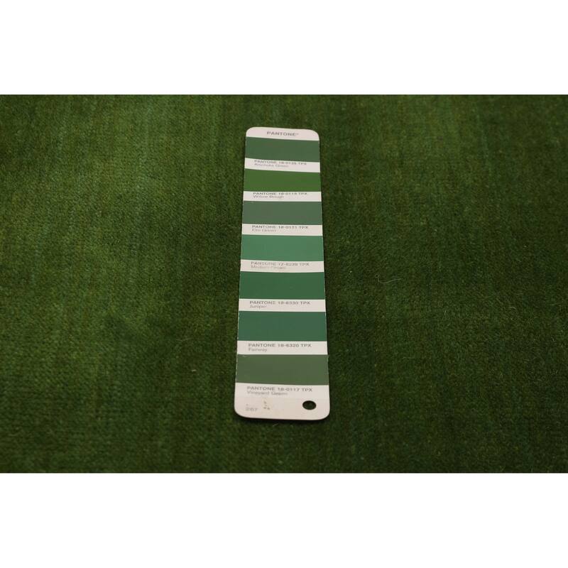 Kashkuli Gabbeh Green Rug 9'10" x 13'1" - 9'10 x 13'1