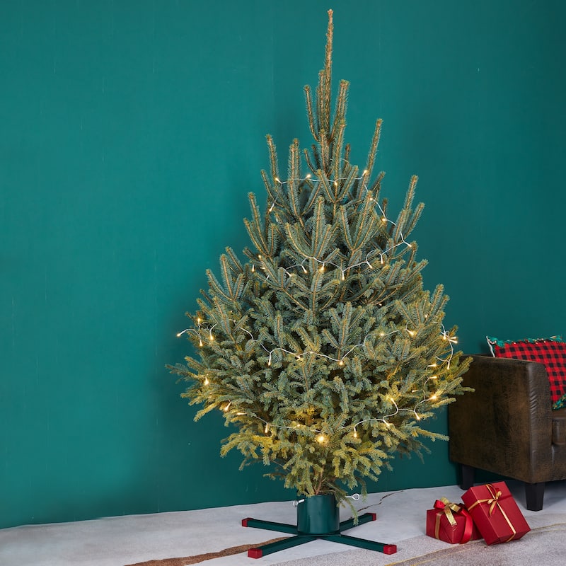 Green Metal Live Christmas Tree Stand - For Trees up to 9ft Tall