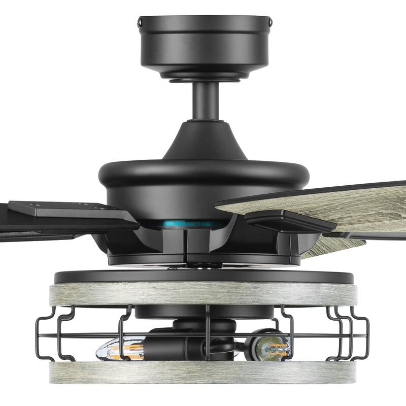 52" Honeywell Carnegie Style Indoor LED Ceiling Fan with Light, Remote Control, Dual Mounting Options, Dual Finish Blades