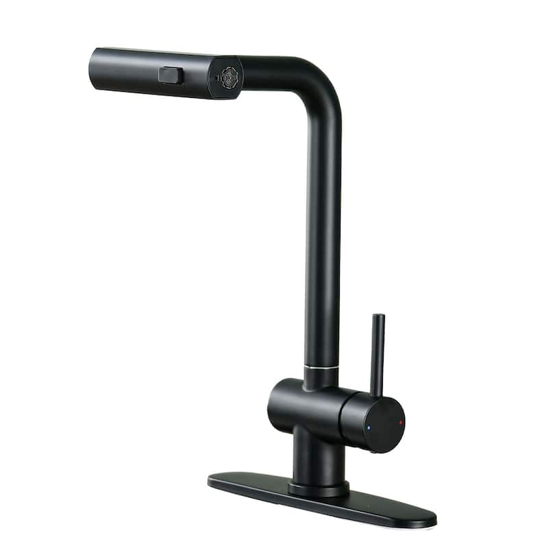 Vanityfair Single-Handle Waterfall Kitchen Faucet with Pull Down Sprayer