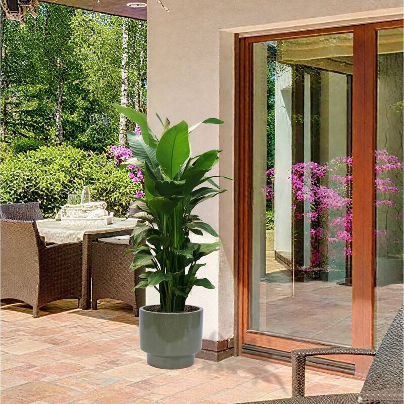 Handmade Indoor/Outdoor Ceramic Planter Set with Earthy Glossy Finish