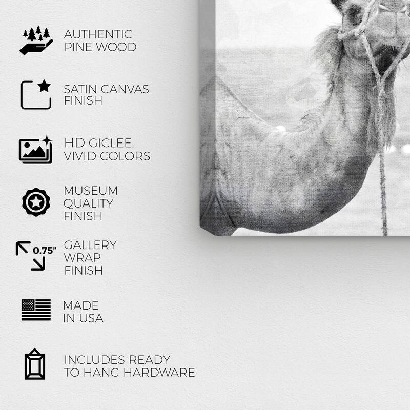 Wynwood Studio Canvas Animals Camel Best Friends Black and Moroccan Wall Art Canvas Print