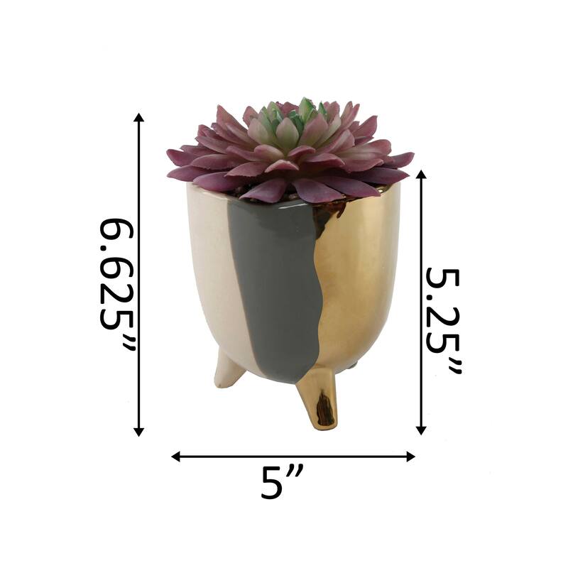 Succulent in 5" 3-TONE FOOTED CERAMIC,GREY - ONE-SIZE
