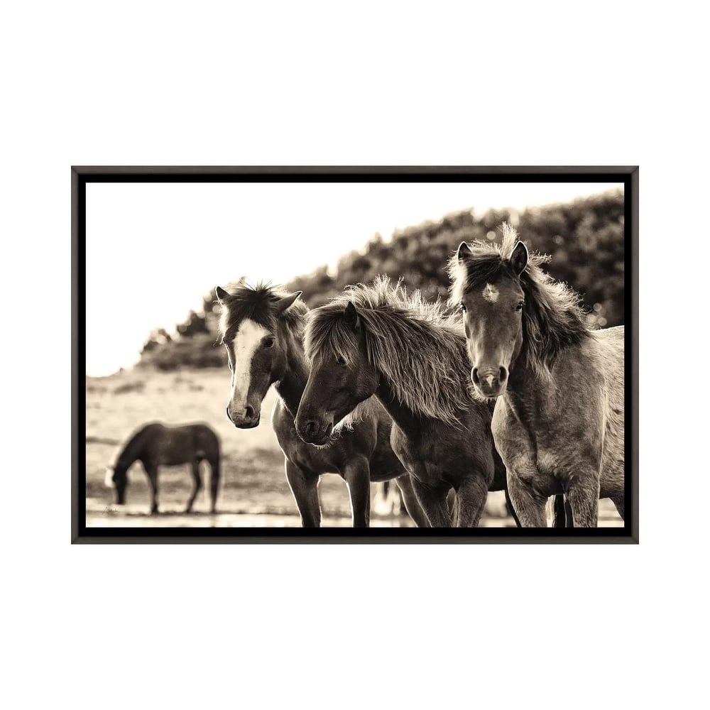 iCanvas "Horses Three Sepia" by Aledanda Framed