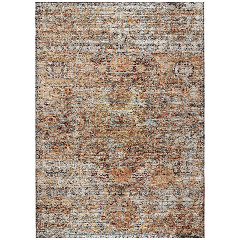 Machine Washable Indoor/ Outdoor Vintage Traditional Chantille Rug