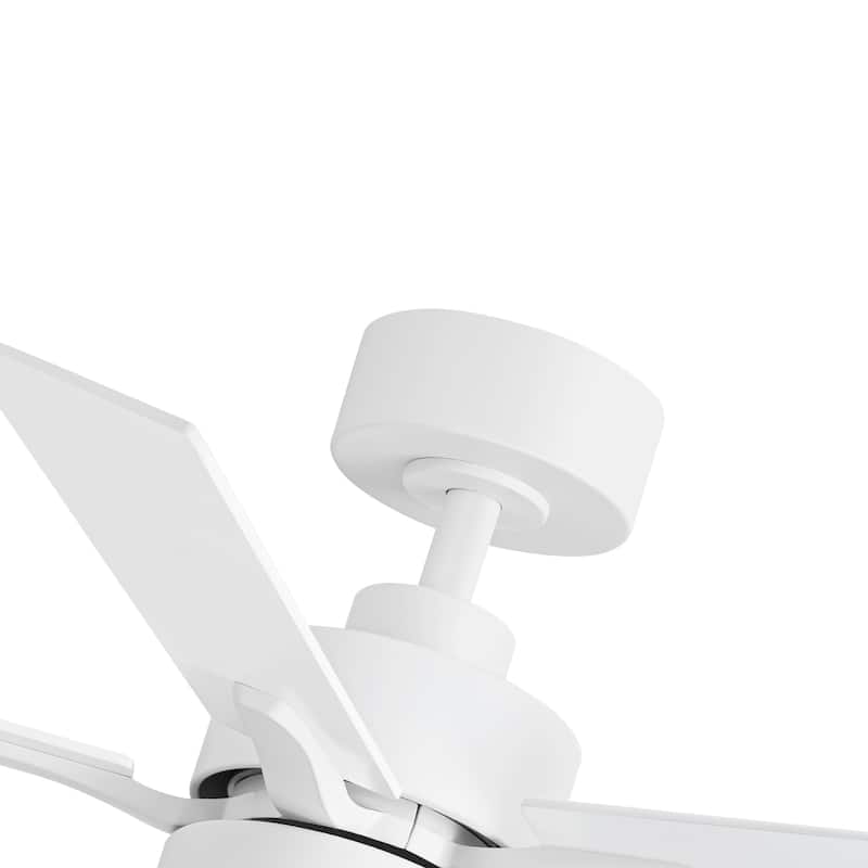 Breezary 52/42-IN LED Ceiling Fan with Light Kit and Remote-5 Blade