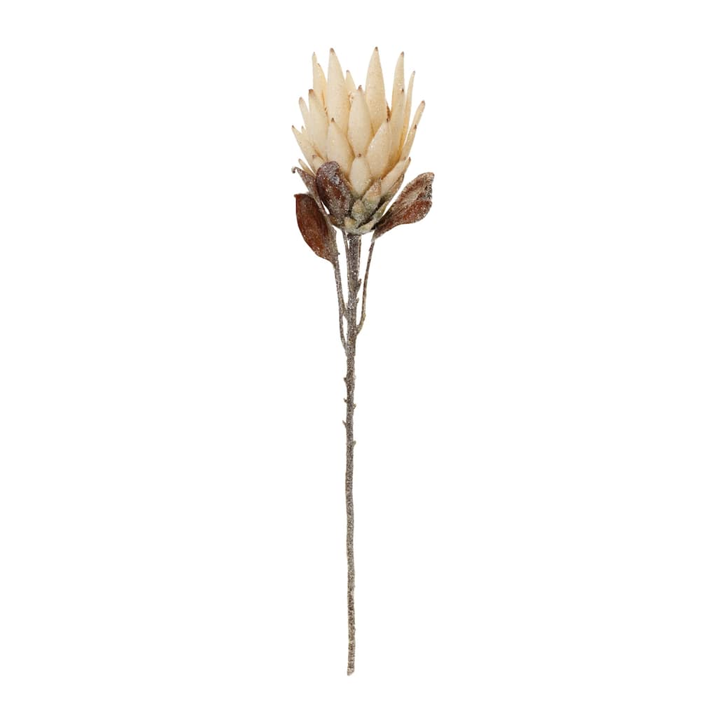 Protea Artificial Floral Stem Sprays - 29.25" - Cream - Set of 2