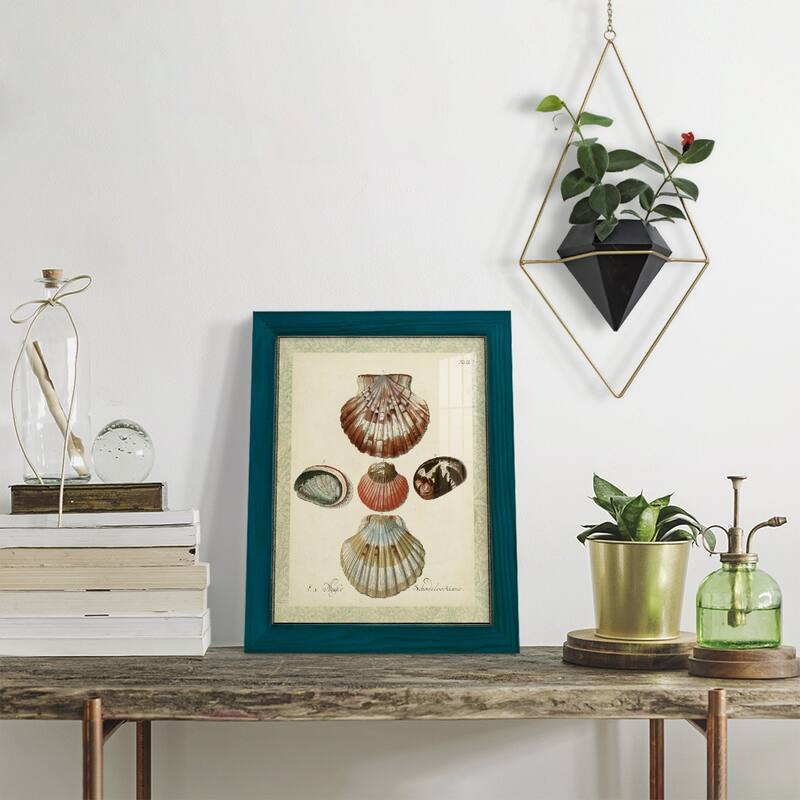 Bookplate Shells III -Framed Print w/glass-Cherry Red
