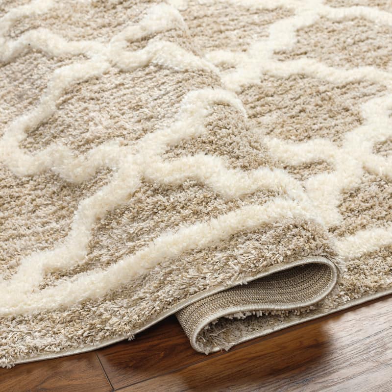 Livabliss Florida Cozy Trellis Plush Area Rug