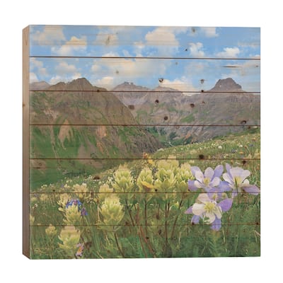 Paintbrush And Columbine, Governor Basin, Colorado Print On Wood by Tim Fitzharris - Multi-Color