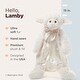 preview thumbnail 2 of 4, Bearington Pacifier Pet - Lamb, Lamby
