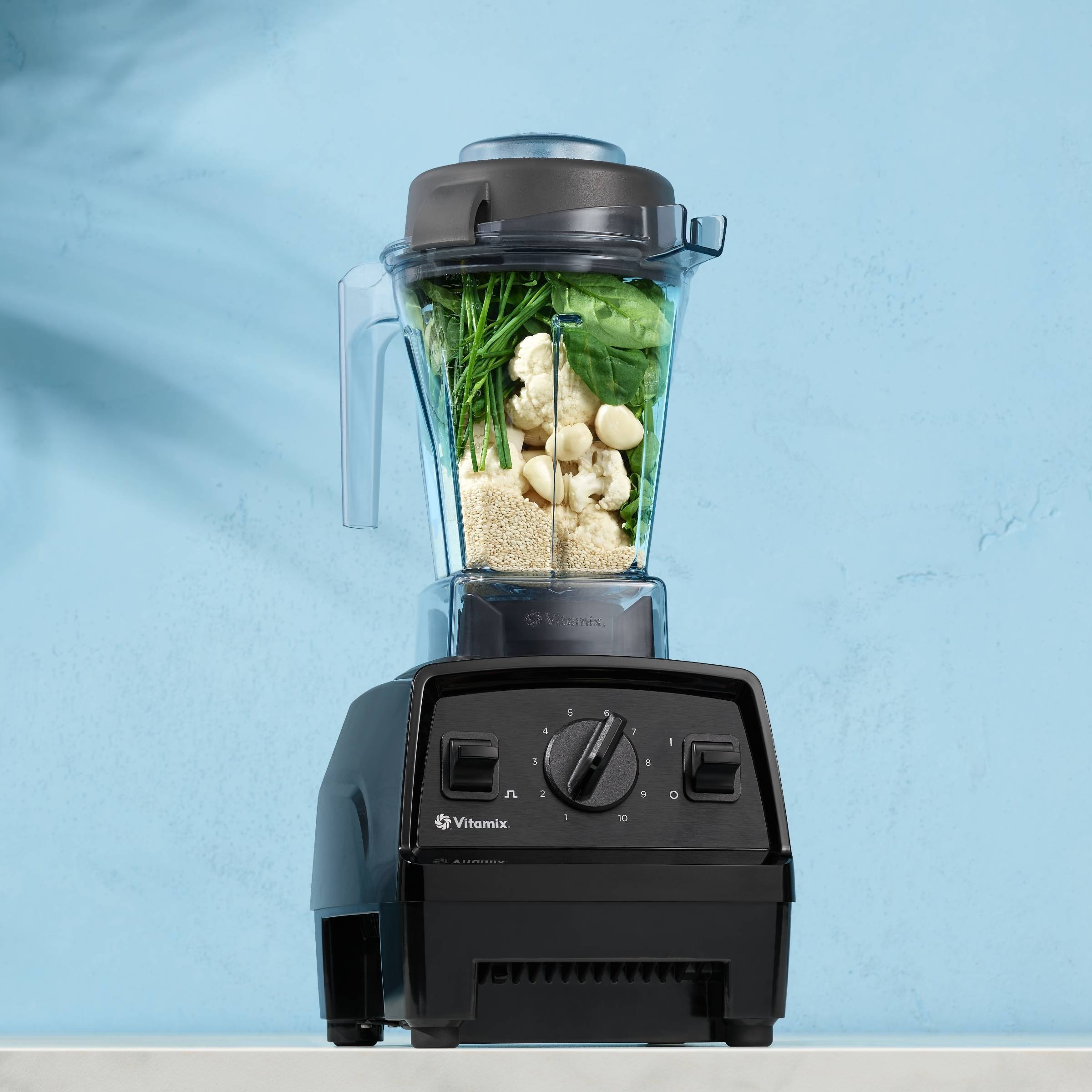 Vitamix Explorian Series E310 Blender, Black - 48 fl oz - Bed Bath